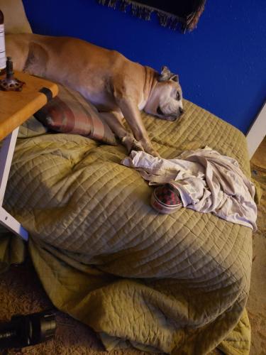 16372134313115256012142749027680