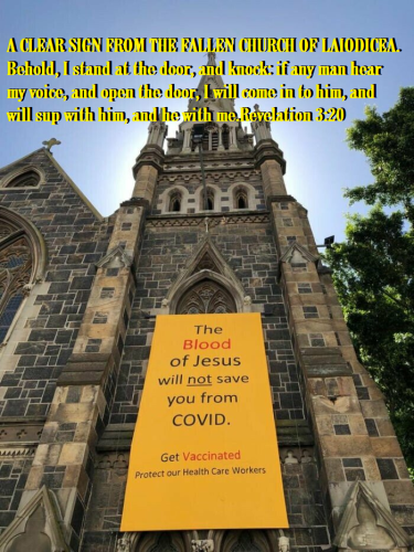 img - 2021-11-08T174146.242