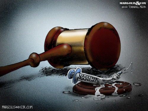 img - 2021-11-12T130535.451