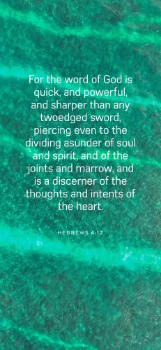 2F5E9F2D-BBFB-49A2-8717-1BE942CBFCF4