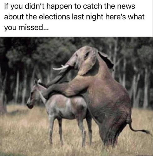 253014616_10223594728349815_8323326423483611076_n