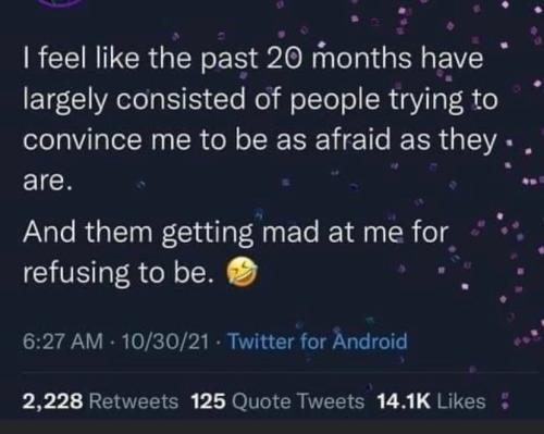 the past 20 months