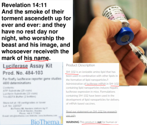 15 Mark Rev 14.11