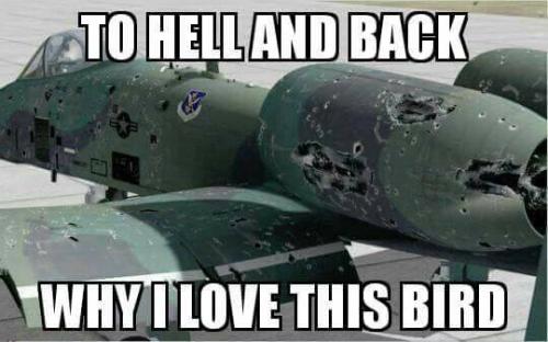 a10