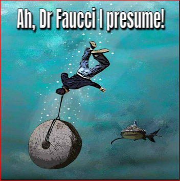 Dr Faucci