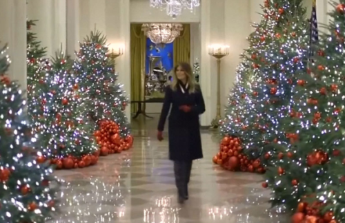 Capture+_2021-11-30-01-49-49(1)