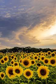 4DFB2A39-4D2C-4CC5-B99B-4746F52A11D7