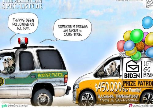 Screenshot_20211102-125244__01