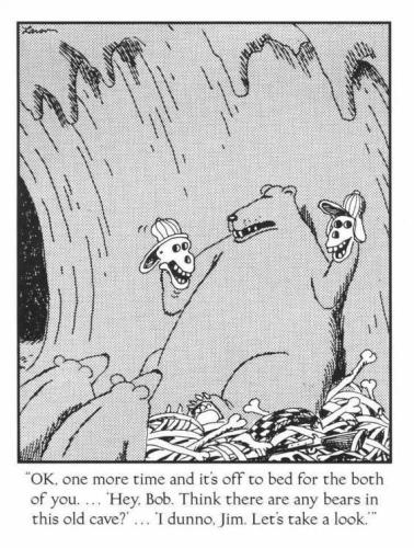 2 bear in cave