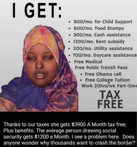 image_1637242335.114