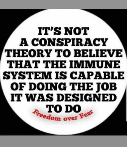 image_1628377594.531