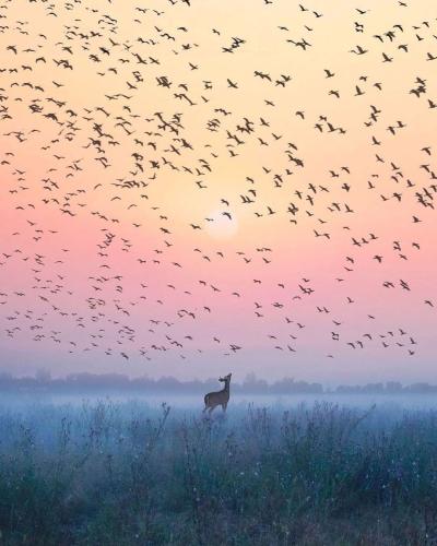 D6025D8C-252B-4481-9782-38A02DEEBE4F