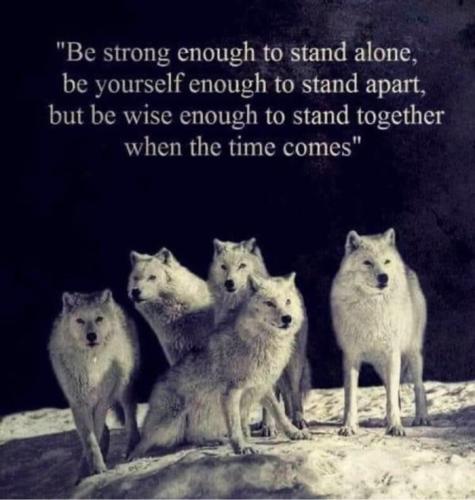 45CCEF95-28E0-4FF6-886F-198F208A938D