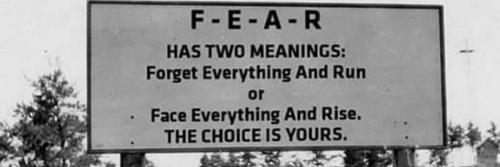 image_1635757790.385