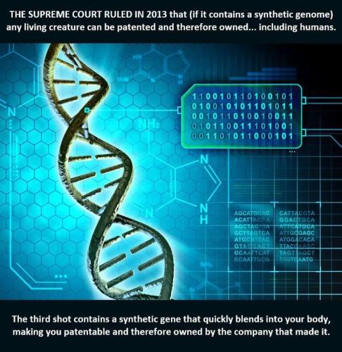 img - 2021-11-27T130704.424