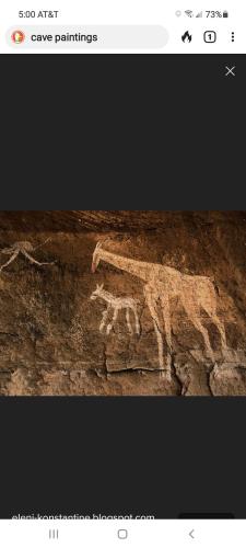 Screenshot_20211111-170027_DuckDuckGo