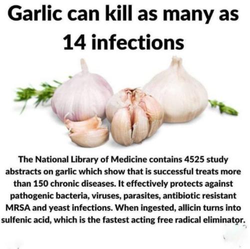 2E21ADB4-8951-45C9-B24E-56635A815EC8