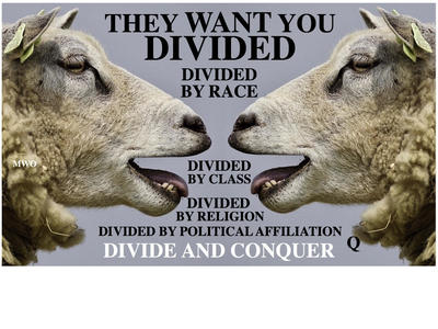 Q+SHEEP+DIVIDED+++