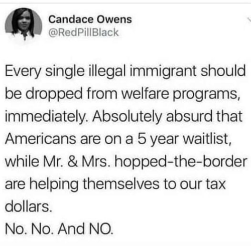 EVERY SINGLE IMMAGRANT