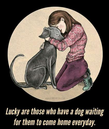 Dogs Waiting for you