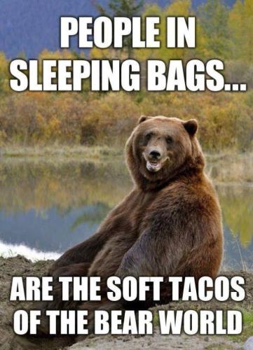 bear-tacos