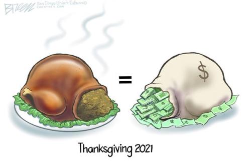 turkey cost