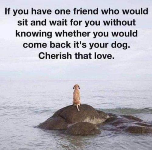 0174351F-D08C-4215-85E4-227D6E99BA58