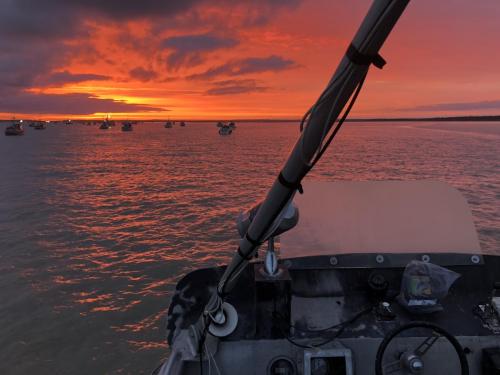 6F458143-EA7A-4F66-8CED-6525A9F54784