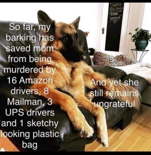 000saving