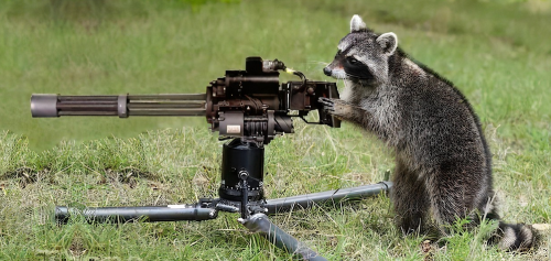Raccoon With Machine Gun