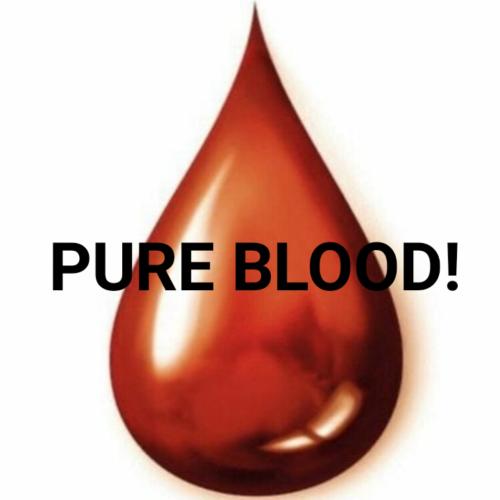 photo_editor_ds_1635808682452