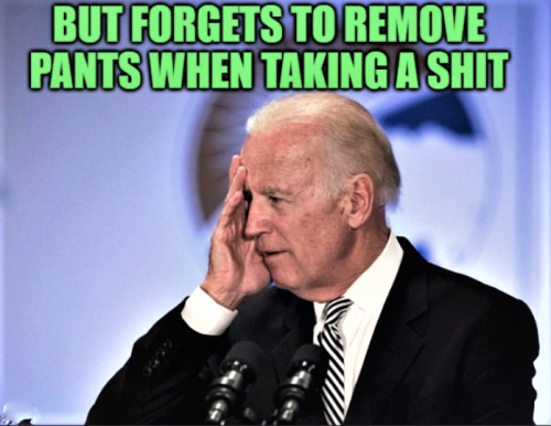 Biden and Shitting Meme (2)