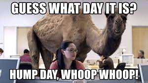 hump day