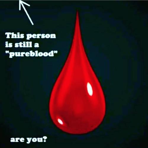 251277134_1844771782368604_3579205316562443902_n