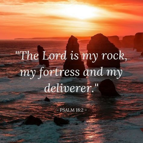 IMG_20211113_141247_992