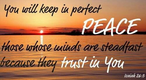 OaAlNbPldfGJId2bI37F_24_fb98701d0edc34b10c2f682918d4de33_image_original