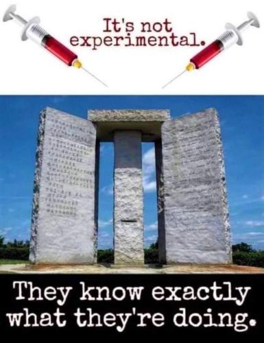 image_1636397034.039