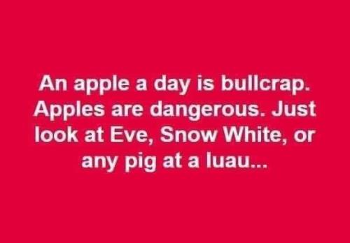 FB_IMG_1636507722619