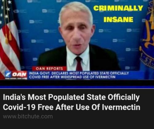 Screenshot_20211119-014848_Gallery