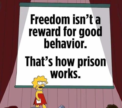 img - 2021-11-08T131432.937