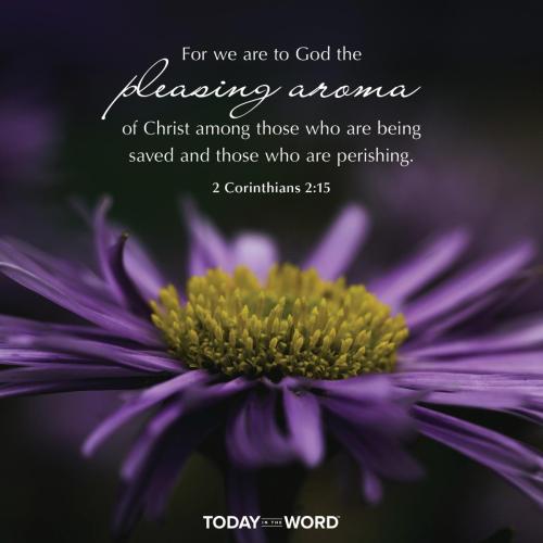 6B21C6A3-6555-4145-81F5-8BF0A888D11A