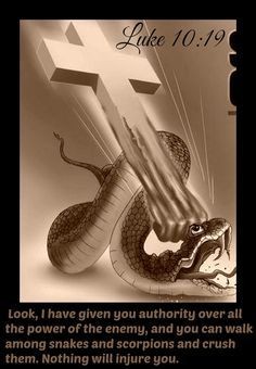 2d882c186760022166c39d9ad33aca75