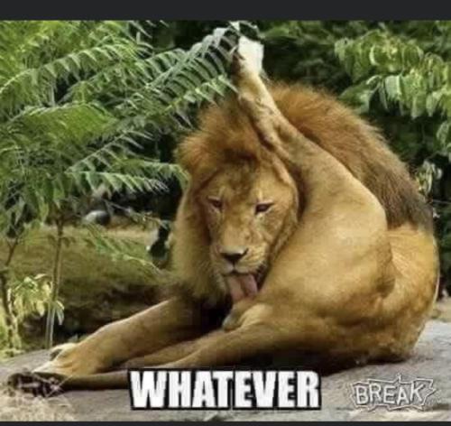 0F1EF161-D6FC-4F64-A254-DCE04462C392