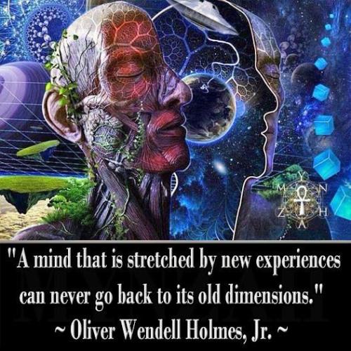 f681313ff5b753e1d982e7fa916a5b9c