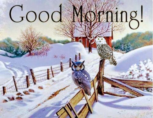 FB_IMG_1607358782350