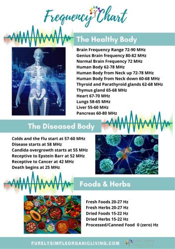 Frequency-Chart-PSOL