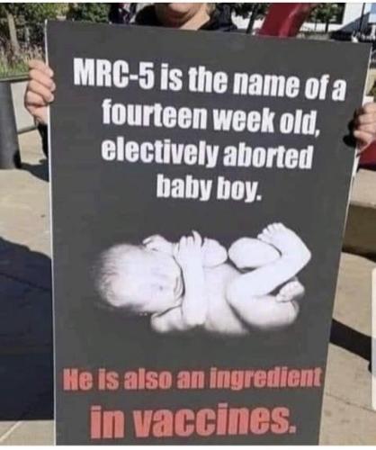 IMG_20211104_210131_667