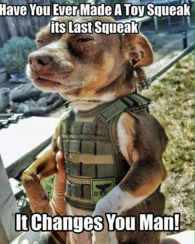 FB_IMG_1636858851328