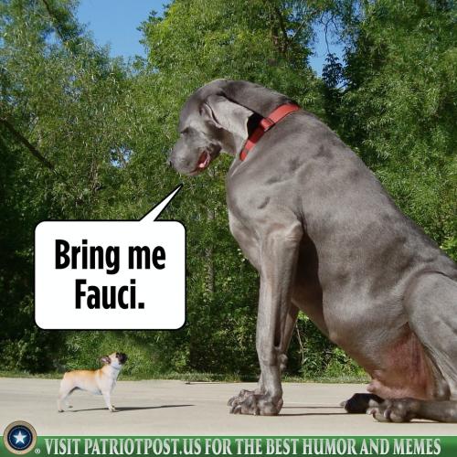 01FKDRD313SKKY96W7J6QN49DF