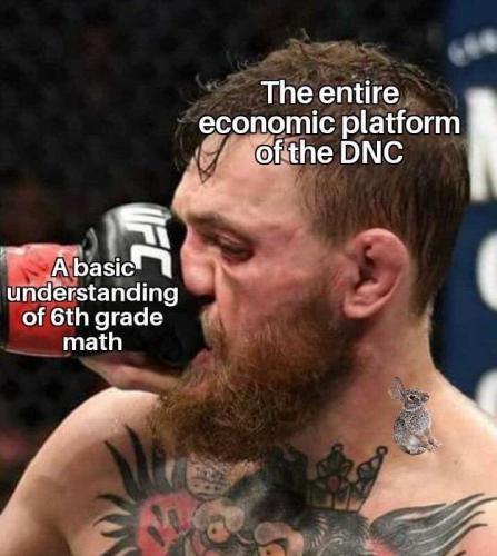 0000dnc economics